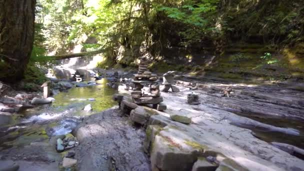 Roger Creek Foro Nel Muro Isola Vancouver — Video Stock