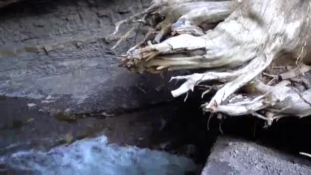 Roger Creek Vancouver Adası Duvardaki Delik — Stok video