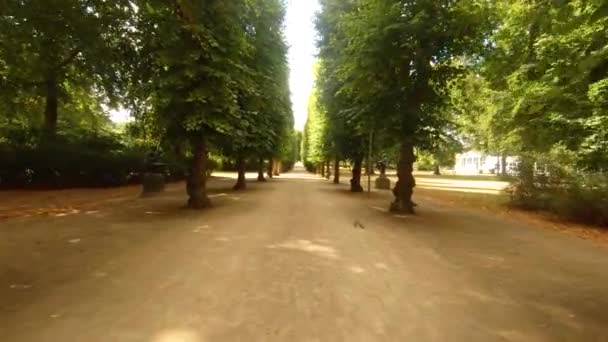 Dolly Atirou Amplo Caminho Cascalho Parque Passando Por Altas Árvores — Vídeo de Stock