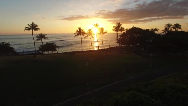 ハワイのオアフ島のワイキキの夕日 ヤシの木と象徴的なハワイの夕日と空中撮影 — ストック動画