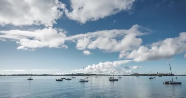 Timelapse Ofr Puerto Auckland — Vídeos de Stock