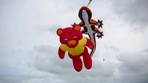 テディベアとトカゲの凧 凧祭り北アイルランド — ストック動画
