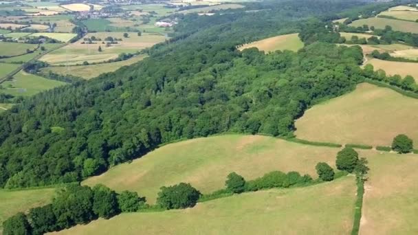 Воздушная Чаша Английского Леса Окруженная Зелеными Полями — стоковое видео