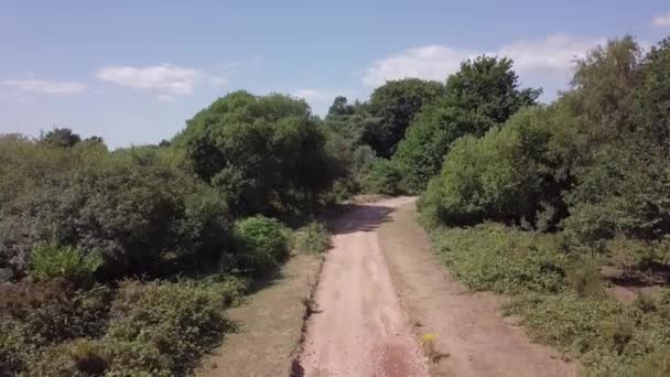 Estrada Terra Woodbury Inglaterra Fora Estrada Leste Devon Woodbury Inglaterra — Vídeo de Stock