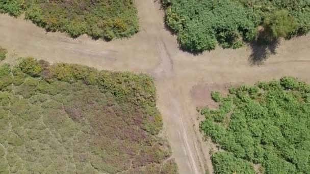 Overhead View Van Onverharde Weg Kruising Woodbury Engeland — Stockvideo