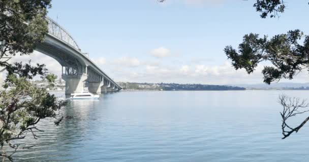 Utsikt Över Auckland Harbour Bridge Med Färja Passerar — Stockvideo