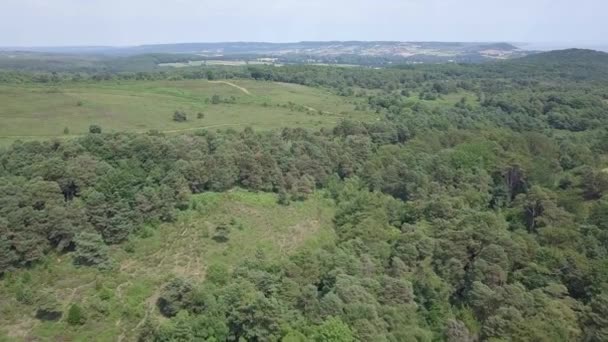 Volando Sobre Bosques Verdes Extensos Campos Devon Reino Unido — Vídeos de Stock