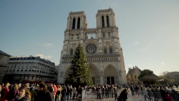 Cathedrale Praça Notre Dame Paris Cheia Turistas Durante Férias Natal — Vídeo de Stock