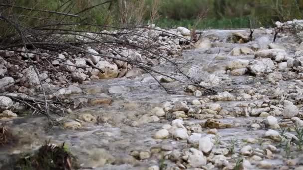 Flujos Fluviales Texas Hill Country — Vídeos de Stock