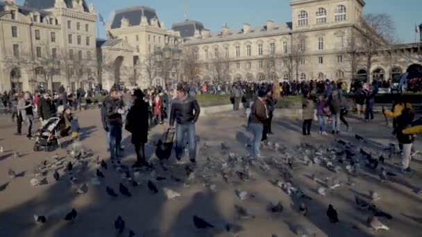 巴黎圣母院广场中央的游客和鸽子 — 图库视频影像