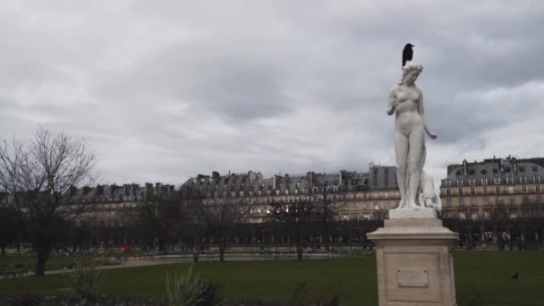 在一个阴天里 在巴黎的Tuileries花园里 一个女人的画像上挂着一只乌鸦 — 图库视频影像