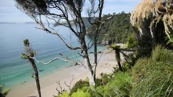 Spiaggia Stuart Island Punto Vista Escursionistico — Video Stock