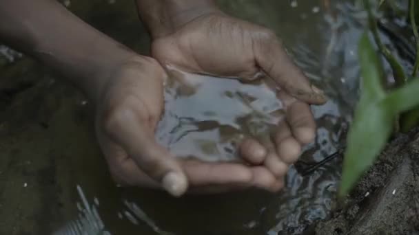 Africano Recoge Agua Sucia Pequeño Arroyo — Vídeos de Stock