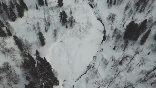 Zima Syberii Lot Dronem Nad Zamarzniętym Lasem Górskim — Wideo stockowe