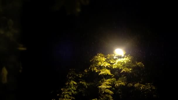 Tráfico Durante Lluvia Noche — Vídeo de stock
