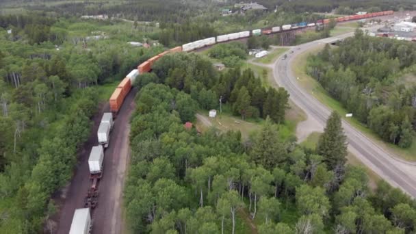 Gran Tren Viajando Por Bosque Escena Aérea Con Dron — Vídeos de Stock