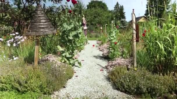 Traject Naar Botanische Tuin Estland — Stockvideo