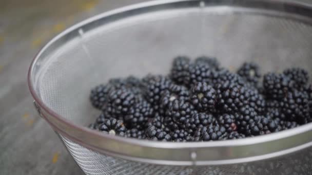 Bowl Harvested Blackberries Picnic Table — Stock Video