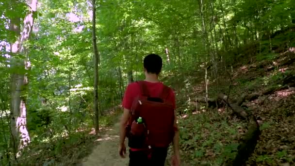 Joven Caminando Por Una Ruta Senderismo Bosque Verde Entre Los — Vídeo de stock