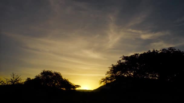 Afrikaanse Dageraad Tussen Werelden — Stockvideo