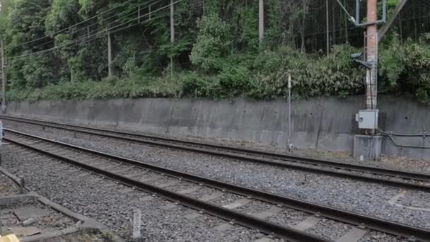 Treno Che Collega Centro Kyoto Alla Pittoresca Zona Arashiyama Giappone — Video Stock