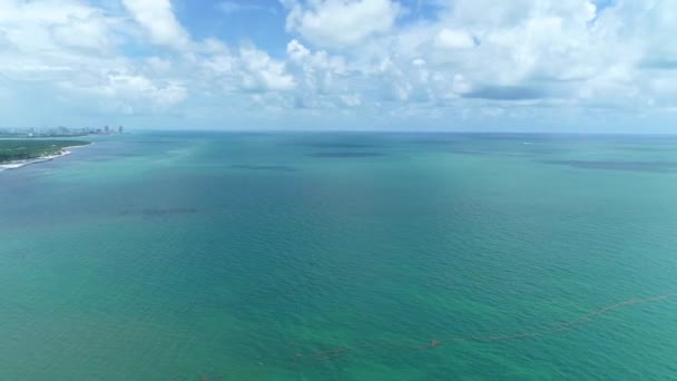 Drone Circulando Torno Key Biscayne Miami Florida — Vídeo de Stock