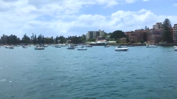 Groep Mensen Een Boot Naar Manly Beach Genieten Van Rit — Stockvideo