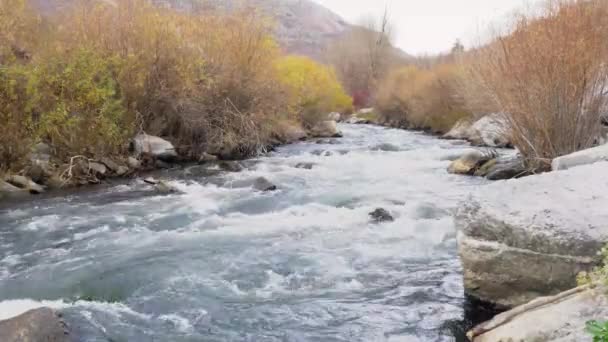 Rivière Calme Coulant Dans Désert Hiver — Video