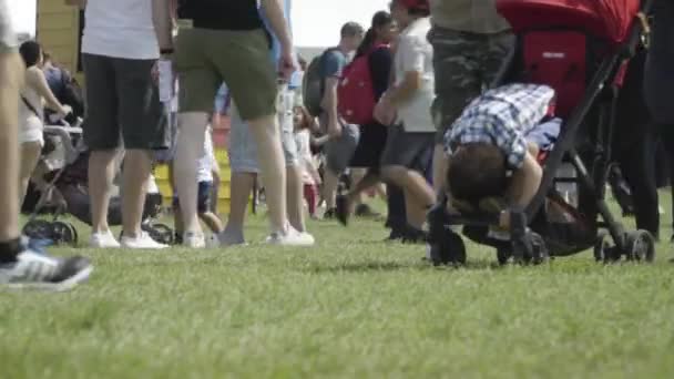 Edmonton Heritage Festival 2018 William Hawrelak Park — Stock video