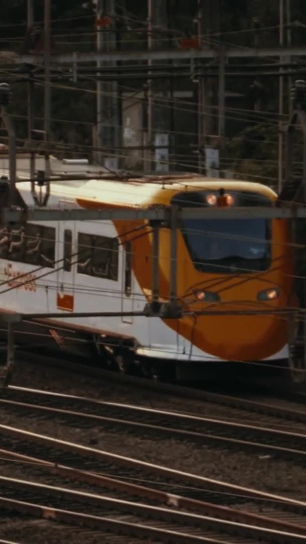 Pociąg Przejeżdżający Przez Stację Sztokholmie Pionowe — Wideo stockowe