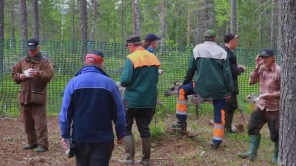 Lapończycy Sami Opiekują Się Stadem Nordyckich Reniferów Lesie Latem Północ — Wideo stockowe