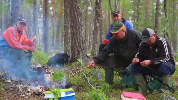 Laps Sami Comem Socializam Floresta Perto Suas Renas Durante Verão — Vídeo de Stock
