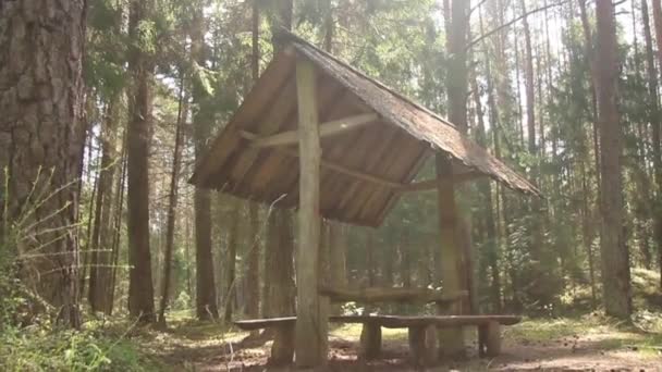 Деревянное Укрытие Лесу — стоковое видео