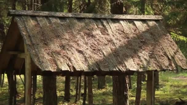 Refugio Madera Bosque — Vídeos de Stock