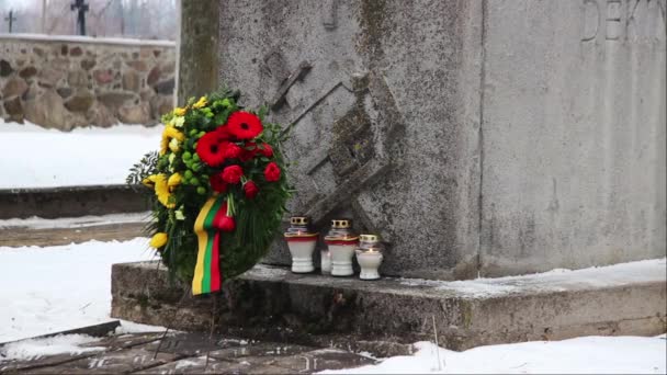 Квіти Свічки Пам Ятнику Який Помер Незалежність Литви — стокове відео
