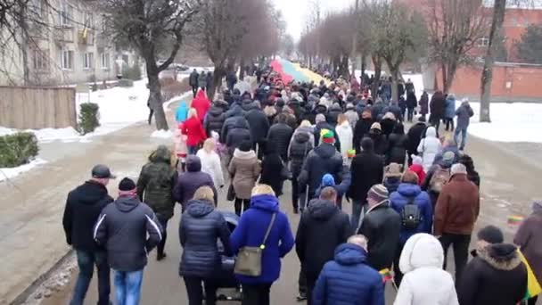 立陶宛国家恢复日期间的一面巨大的国旗 — 图库视频影像