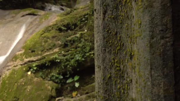 Водопад Показанный После Столба Посреди Джунглей — стоковое видео