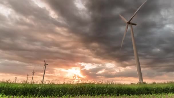 Epic Tid Förfaller Solnedgången Med Iowa Majsfält Och Turbinfält Efter — Stockvideo