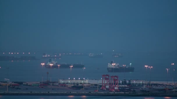 Bateaux Port Los Angeles Après Coucher Soleil Heure Été — Video