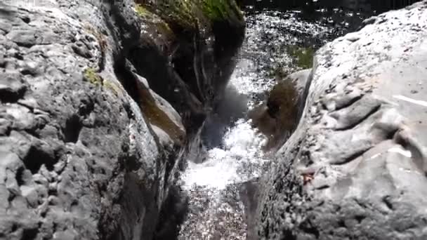 Roger Creek Loch Der Mauer Vancouver Island — Stockvideo