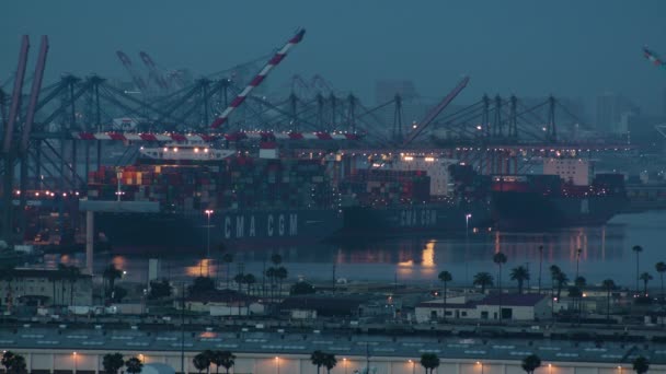 Los Angeles Port Barcos Por Noche Durante Verano — Vídeo de stock