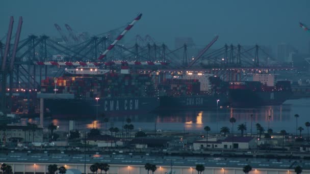 Haven Van Los Angeles Boten Nachts Tijdens Zomer — Stockvideo