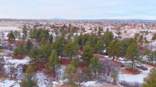 Drone Shot Trees Colorado Plain — Stock video