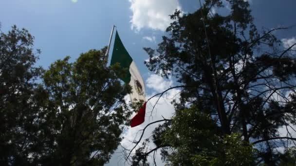 Die Flagge Von Mexiko Wenn Die Flagge Eines Landes Weht — Stockvideo
