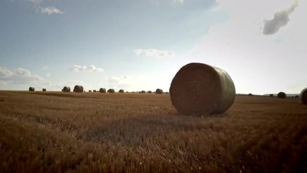 低空无人驾驶飞机飞越收获的田地 通过稻草包 — 图库视频影像