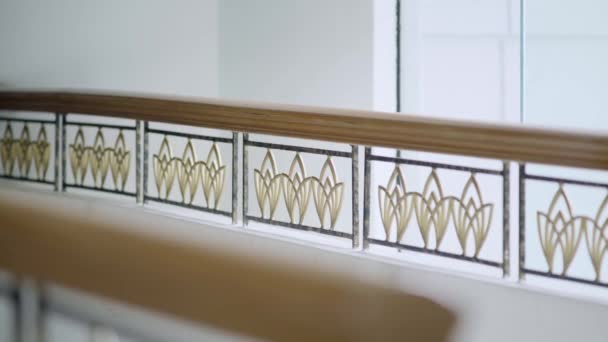 Kunst Van Het Balustrade — Stockvideo