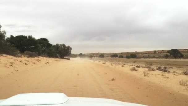View Four Wheel Drive Vehicle Negotiates Strong Winds Extreme Dust — Stock Video