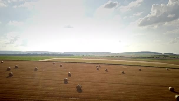 藁玉が多い大収穫地上空での空中撮影 — ストック動画