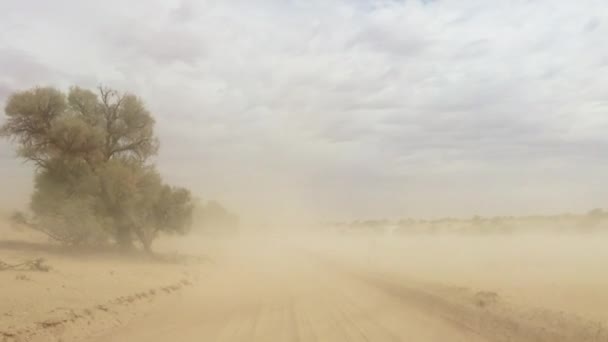 南アフリカの乾燥したカラハリ地域の砂のトラックに沿って運転しながら 強風と極端な砂嵐を交渉する4輪駆動車の中からの眺め — ストック動画