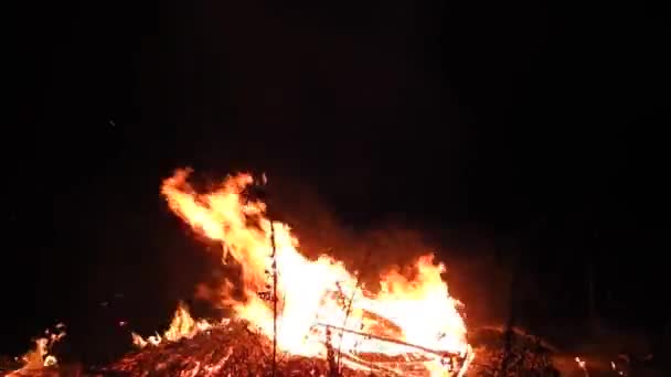 Enorme Fogata Solsticio Ardiendo Negro Noche Ancho Caliente — Vídeo de stock